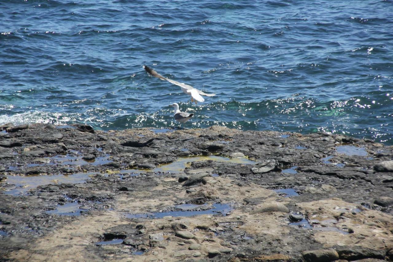 Seagull Estudios Pozo Izquierdo Екстериор снимка